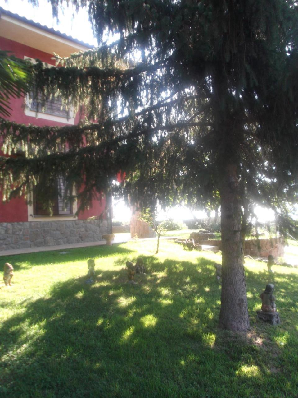 Agriturismo Casal Grande Canepina ภายนอก รูปภาพ